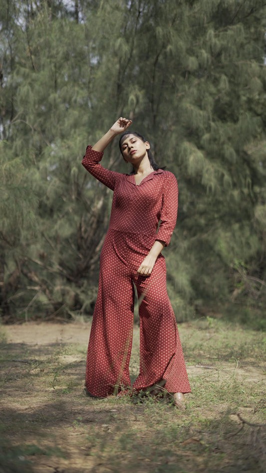 anka Collared jumpsuitt2-min.JPG